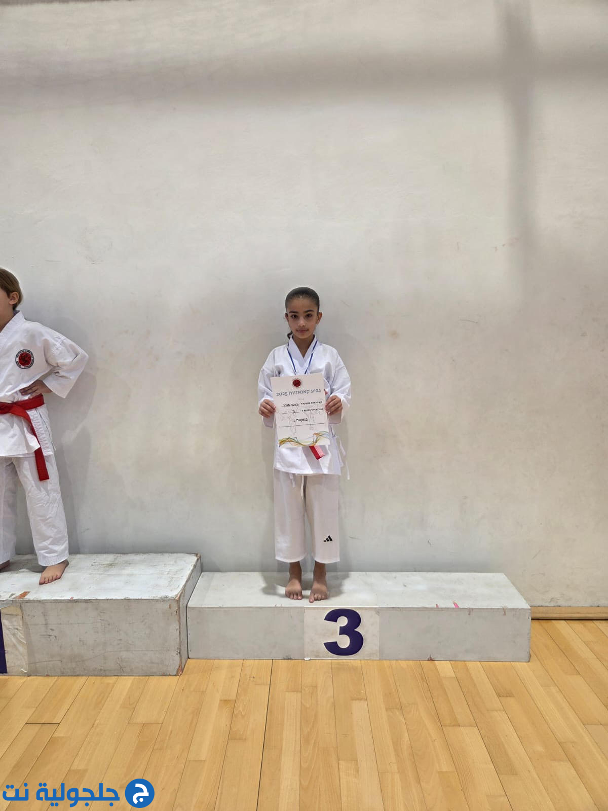 أبطال مدرسة حسني عرار للكراتيه وفنون القتال يحصدون الذهب في بطولة كأس كانيزاوا القطرية – حيفا 